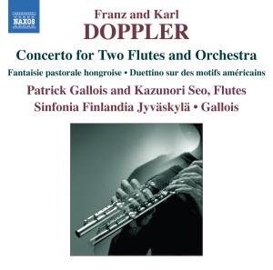Cover for Doppler, F. &amp; K. · Concerto In D Minor (CD) (2007)