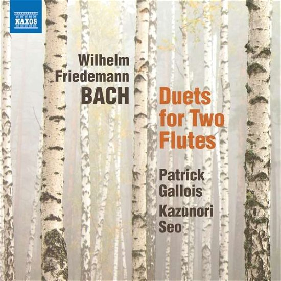 Wilhelm Friedemann Bach: Duets For Two Flutes - Gallois / Seo - Musiikki - NAXOS - 0747313376872 - perjantai 11. tammikuuta 2019