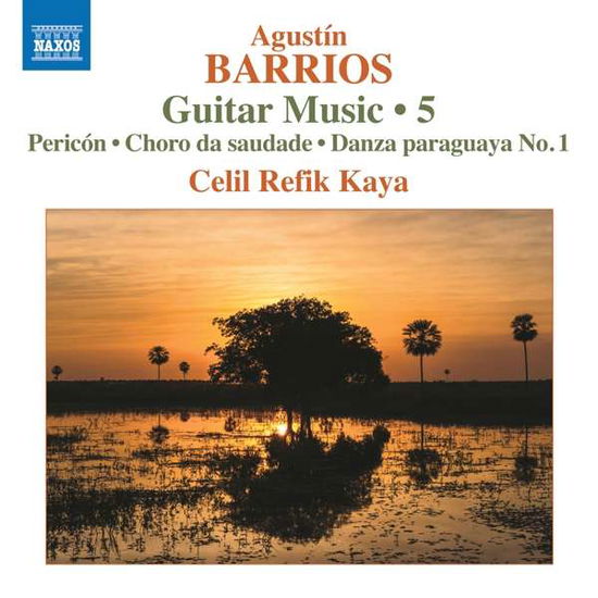 Guitar Music 5 - A. Barrios - Music - NAXOS - 0747313389872 - March 1, 2019