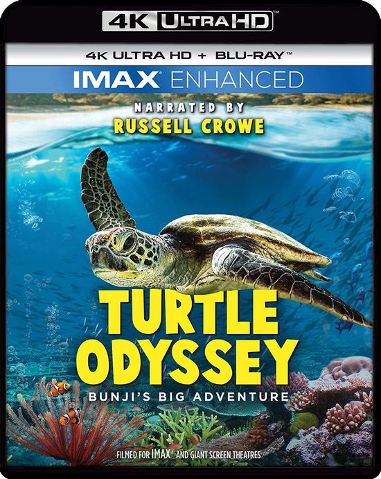 Cover for 4k Ultra Hd · Turtle Odyssey (4K UHD Blu-ray) (2019)