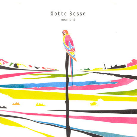 Cover for Sotte Bosse · Moment (CD) (2008)