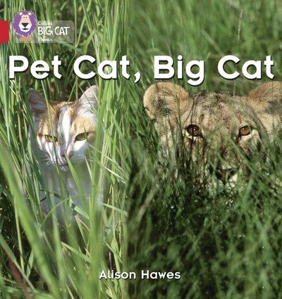 Cover for Alison Hawes · Pet Cat, Big Cat: Band 02a/Red a - Collins Big Cat Phonics (Pocketbok) (2006)