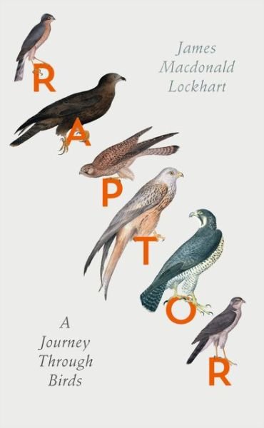 Cover for James Macdonald Lockhart · Raptor: A Journey Through Birds (Hardcover Book) (2016)