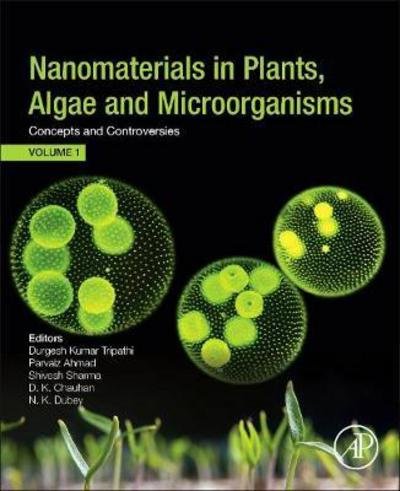 Cover for Parvaiz Ahmad · Nanomaterials in Plants, Algae, and Microorganisms: Concepts and Controversies: Volume 1 (Paperback Book) (2017)