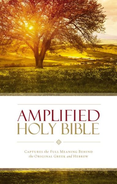 Cover for Zondervan Publishing · Amplified Holy Bible, Hardcover: Captures the Full Meaning Behind the Original Greek and Hebrew (Hardcover Book) (2015)