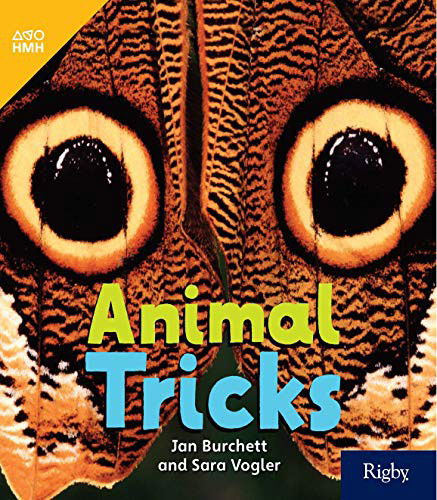 Animal Tricks Leveled Reader Grade 1 - Houghton Mifflin Harcourt - Książki - HOUGHTON MIFFLIN HARCOURT - 9780358261872 - 25 września 2019