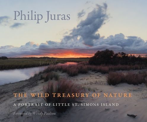 Cover for Philip Juras · The Wild Treasury of Nature: A Portrait of Little St. Simons Island - Wormsloe Foundation Nature Books (Hardcover Book) (2016)