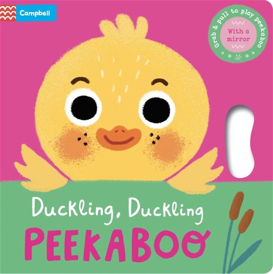 Cover for Campbell Books · Duckling, Duckling, PEEKABOO - Peekaboo! (Tavlebog) (2023)