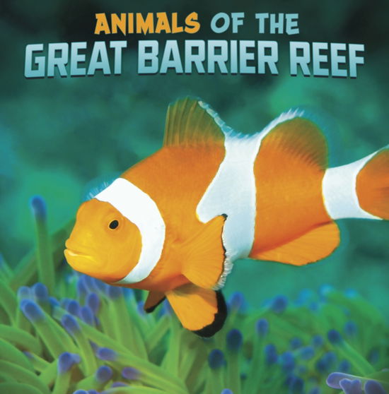 Cover for Martha E. H. Rustad · Animals of the Great Barrier Reef - Wild Biomes (Paperback Book) (2023)