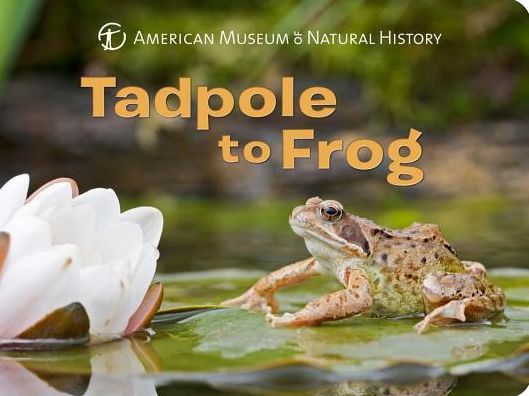 Cover for American Museum of Natural History · Tadpole to Frog - American Museum of Natural History (Board book) (2017)