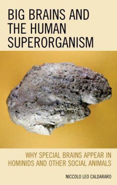 Cover for Niccolo Leo Caldararo · Big Brains and the Human Superorganism: Why Special Brains Appear in Hominids and Other Social Animals (Hardcover Book) (2017)
