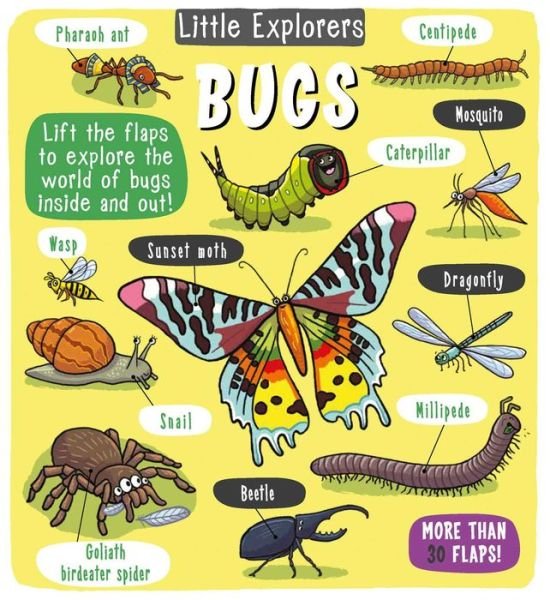 Cover for Little Bee Books · Little Explorers: Bugs - Little Explorers (Gebundenes Buch) (2019)