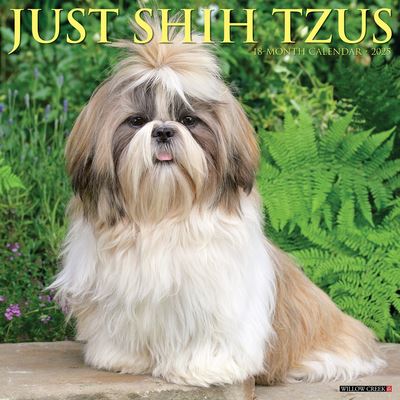 Willow Creek Press · Just Shih Tzus 2025 12 X 12 Wall Calendar (Calendar) (2024)