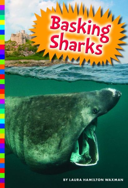 Cover for Laura Hamilton Waxman · Basking Sharks (Book) (2016)