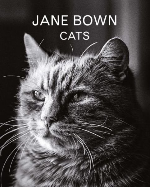Cover for Jane Bown · Jane Bown: Cats (Inbunden Bok) [Main edition] (2016)