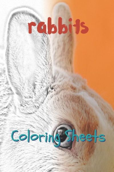 Rabbit Coloring Sheets - Julian Smith - Livres - Independently Published - 9781797658872 - 20 février 2019