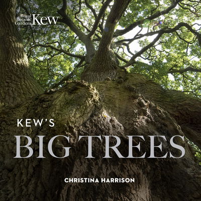 Cover for Christina Harrison · Kew's Big Trees (Paperback Book) [New edition] (2019)