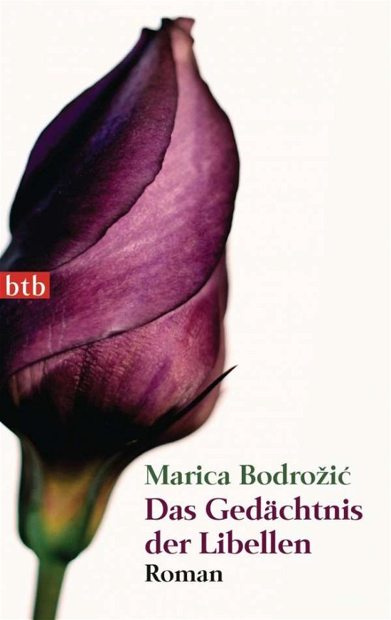 Cover for Marica Bodrozic · Btb.74387 Bodro Ic.das Gedächtnis Der L (Buch)