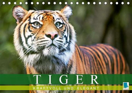 Cover for Tiger · Kraftvoll Und Elegant (Tischkale (Book)