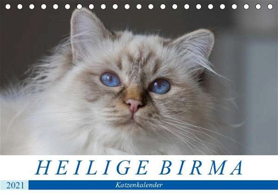 Cover for Münch · Heilige Birma Katzenkalender (Tis (Bog)
