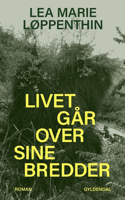Cover for Lea Marie Løppenthin · Livet går over sine bredder (Sewn Spine Book) [1º edição] (2022)