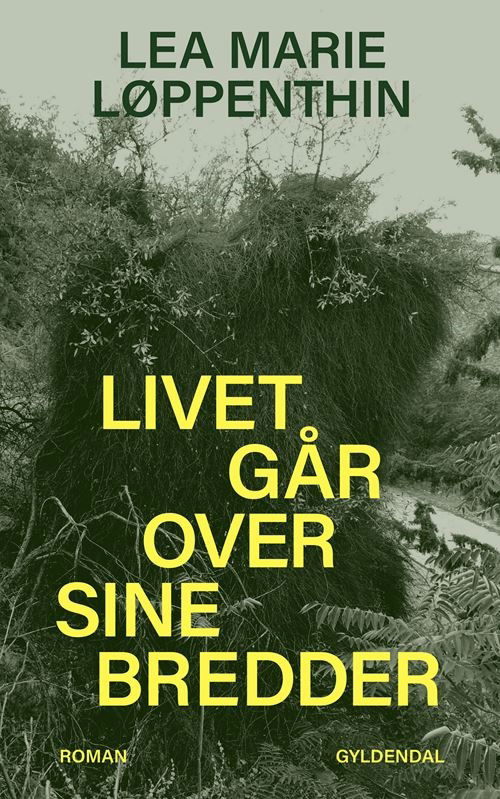 Cover for Lea Marie Løppenthin · Livet går over sine bredder (Sewn Spine Book) [1th edição] (2022)