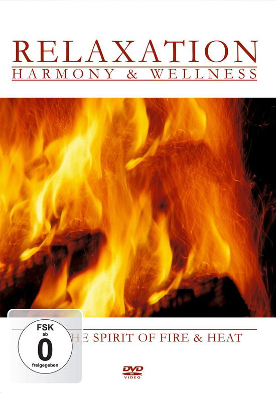 Cover for Feel the Spirit of Fire / Var · Feel the Spirit of Fire (DVD) (2006)