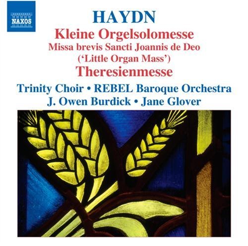Kleine Orgelsolomesse / Theresienmesse - Franz Joseph Haydn - Musikk - NAXOS - 0747313212873 - 8. april 2011