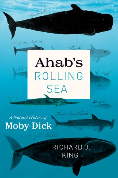 Cover for Richard J King · Ahab's Rolling Sea: A Natural History of Moby-Dick (Paperback Book) (2021)