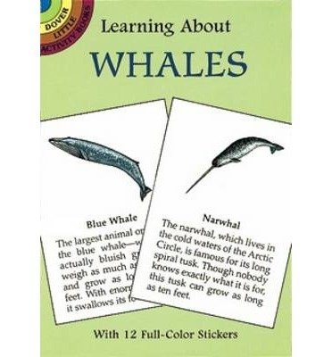 Cover for Sy Barlowe · Learning About Whales - Dover Little Activity Books (Paperback Book) (2003)