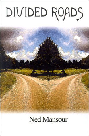 Cover for Ned Mansour · Divided Roads (Paperback Book) (2001)
