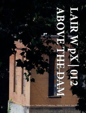 Cover for Wetdryvac · LAIR W pX 012 Above The Dam (Hardcover Book) (2024)