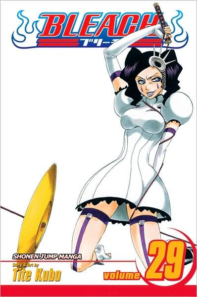 Cover for Tite Kubo · Bleach, Vol. 29 (Paperback Book) (2009)
