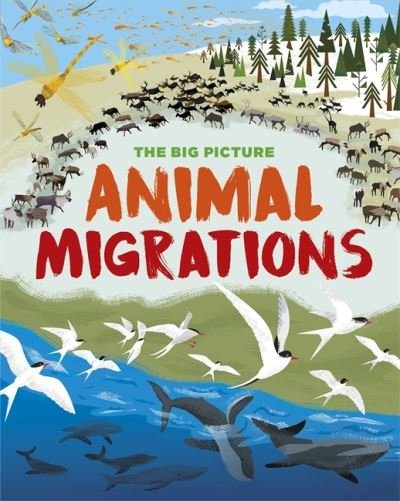 Cover for Jon Richards · The Big Picture: Animal Migrations - The Big Picture (Paperback Bog) (2021)
