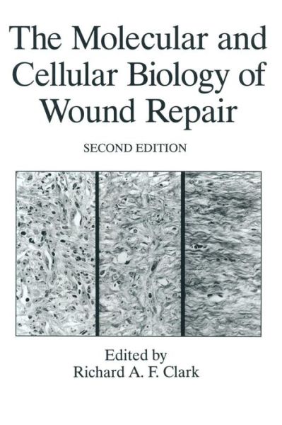 Cover for Richard Clark · The Molecular and Cellular Biology of Wound Repair (Paperback Book) [Softcover reprint of the original 1st ed. 1988 edition] (2013)