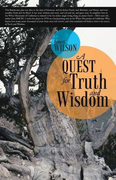 Cover for Robert Wilson · A Quest for Truth and Wisdom (Pocketbok) (2015)