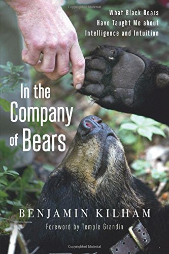 Cover for Benjamin Kilham · In the Company of Bears: What Black Bears Have Taught Me about Intelligence and Intuition (Paperback Book) (2014)