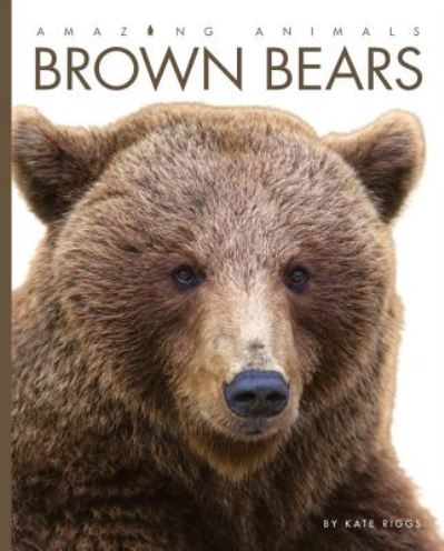 Cover for Kate Riggs · Amazing Animals: Brown Bears (Hardcover Book) (2015)