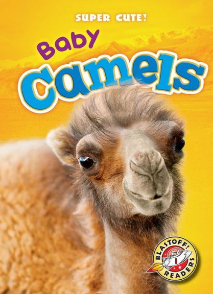 Cover for Megan Borgert-Spaniol · Baby Camels (Hardcover Book) (2016)