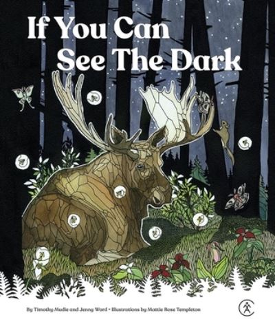 If You Can See the Dark - Timothy Mudie - Książki - Appalachian Mountain Club Books - 9781628421873 - 1 października 2024