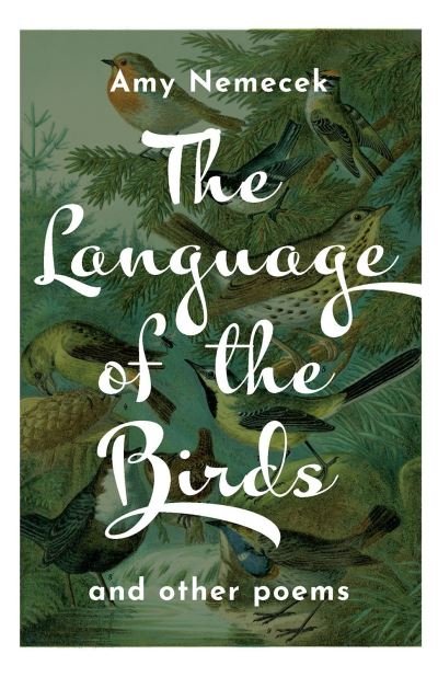 Cover for Amy Nemecek · The Language of the Birds (Paperback Book) (2022)