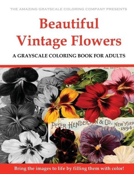 Cover for Dar Payment · Beautiful Vintage Flowers (Paperback Bog) (2017)
