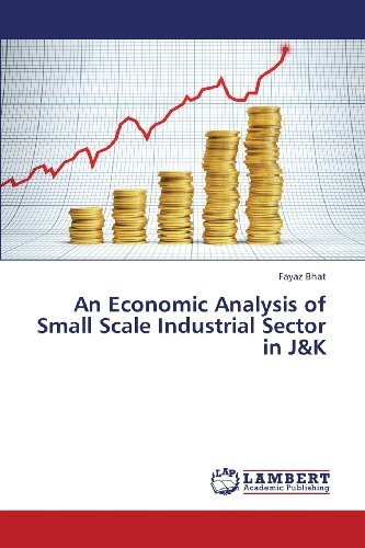 Cover for Fayaz Bhat · An Economic Analysis of Small Scale Industrial Sector in J&amp;k (Paperback Book) (2013)