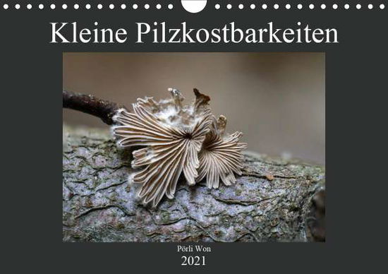 Cover for Won · Kleine Pilzkostbarkeiten (Wandkalen (Book)