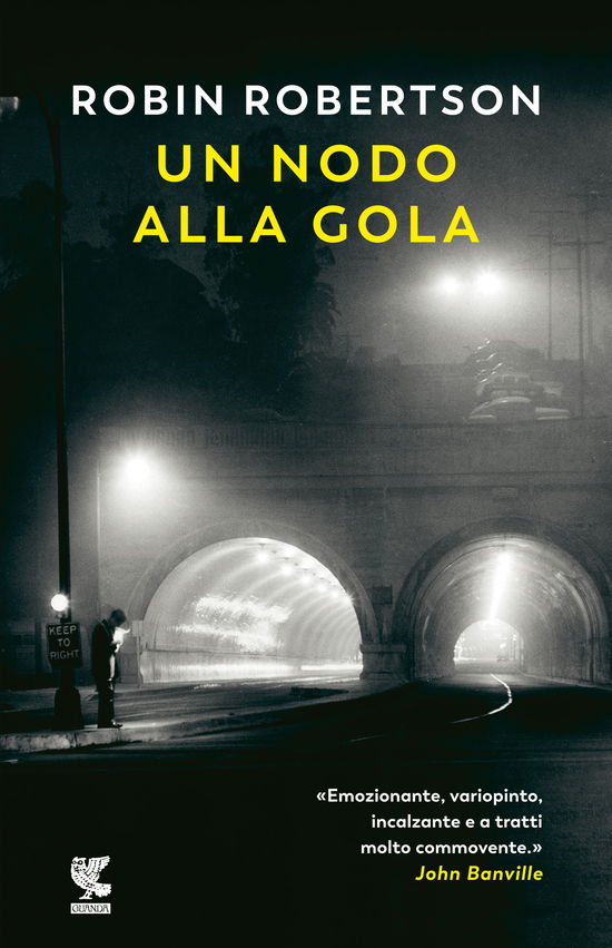 Cover for Robin Robertson · Un Nodo Alla Gola (Book)