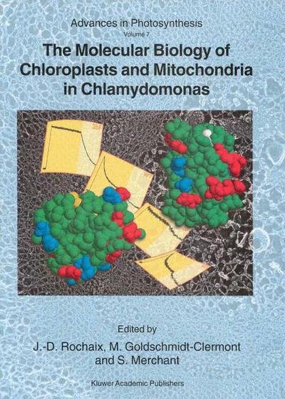 The Molecular Biology of Chloroplasts and Mitochondria in Chlamydomonas - Advances in Photosynthesis and Respiration - J -d Rochaix - Livres - Springer - 9789401741873 - 3 octobre 2013