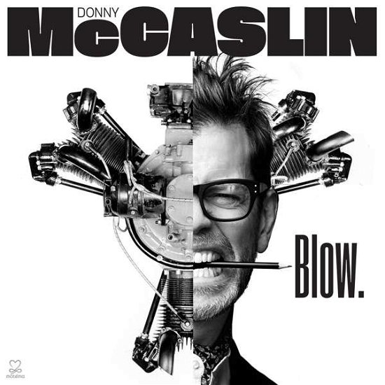 Cover for Donny Mccaslin · Blow (LP) [Standard edition] (2018)