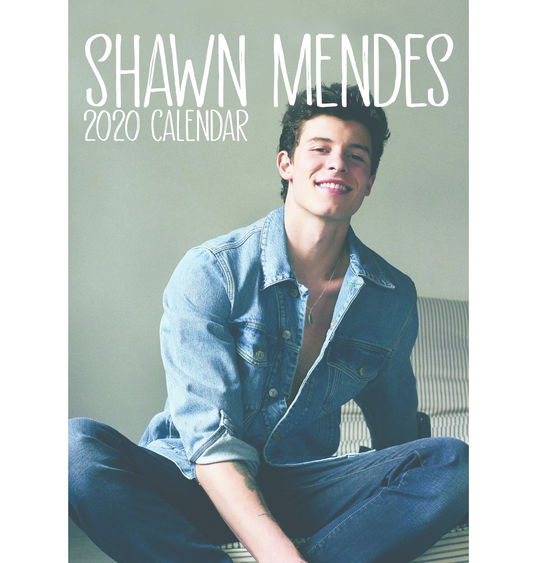 2020 Calendar - Shawn Mendes - Produtos - VYDAVATELSTIVI - 0616906766874 - 1 de junho de 2019