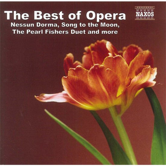 The Best of Opera *d* - Various [Naxos Classical] - Musik - Naxos - 0747313004874 - 21 januari 2021