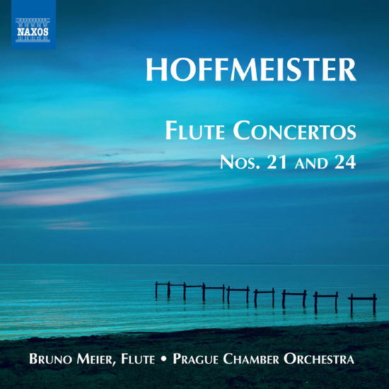 Cover for Hoffmeister / Meier / Prague Chamber Orchestra · Flute Concertos 1 (CD) (2013)